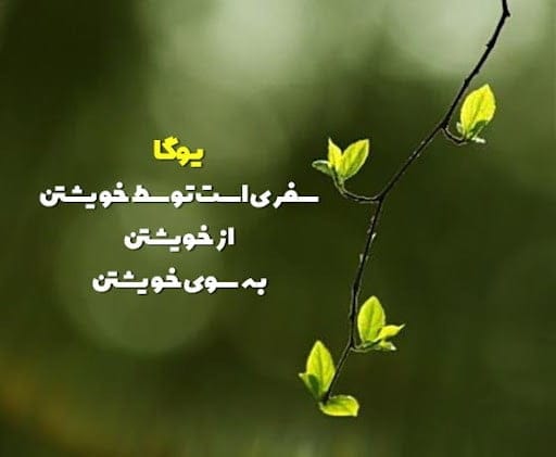 سخن بزرگان درباره یوگا و به آرامش رسیدن (جملات ناب در مورد یوگا کردن) 4 سخنان ناب از بزرگان رشته یوگا درباره این ورزش
