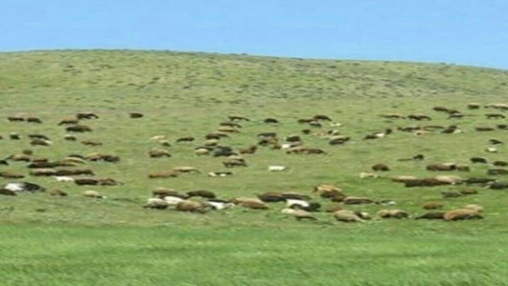 5 جاذبه گردشگری تاکستان که حتما باید ببینید 3 5 جاذبه گردشگری تاکستان که حتما باید ببینید