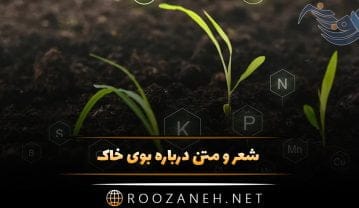 بوی خاک