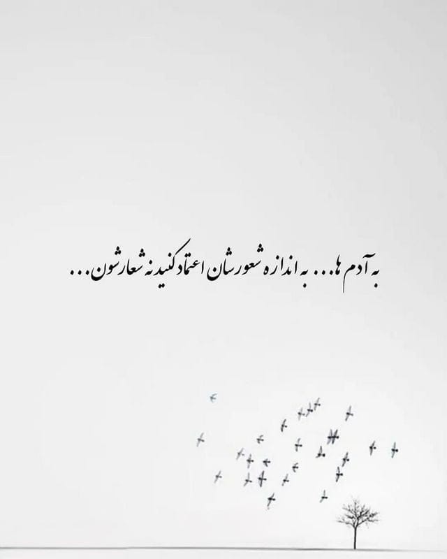چندین شعر و متن خاص برای استوری