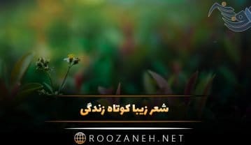 شعر زیبا و کوتاه زندگی