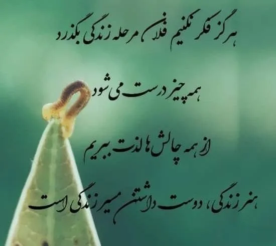 بیو زندگی واتساپ تلگرام (40 متن بیوگرافی معنی زندگی با جملات سنگین) 8 چندین متن بیو با موضوع زندگی و موفقیت در زندگی