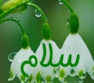 متن سلام و عرض ادب کردن (30 متن ادبی صمیمانه و زیبای سلام کردن) 3 Salam 3 e1722237393957