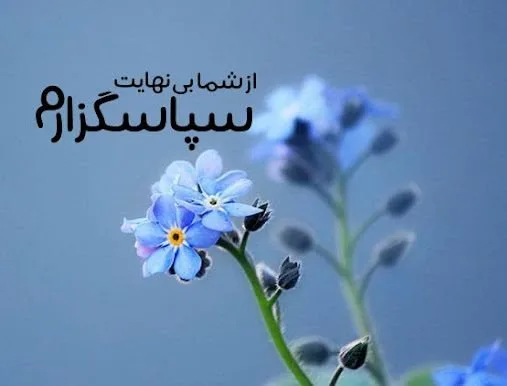 متن تشکر از زحمات؛ 100 متن قشنگ رسمی و صمیمانه قدردانی از دیگران 1 متن تشکر از زحمات؛ 100 متن قشنگ رسمی و صمیمانه قدردانی از دیگران