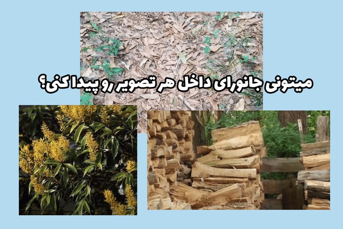 معما برای کودکان دبستانی | 50 معمای آسان و سخت مخصوص کودکان 4 معما و چالش های بچگانه