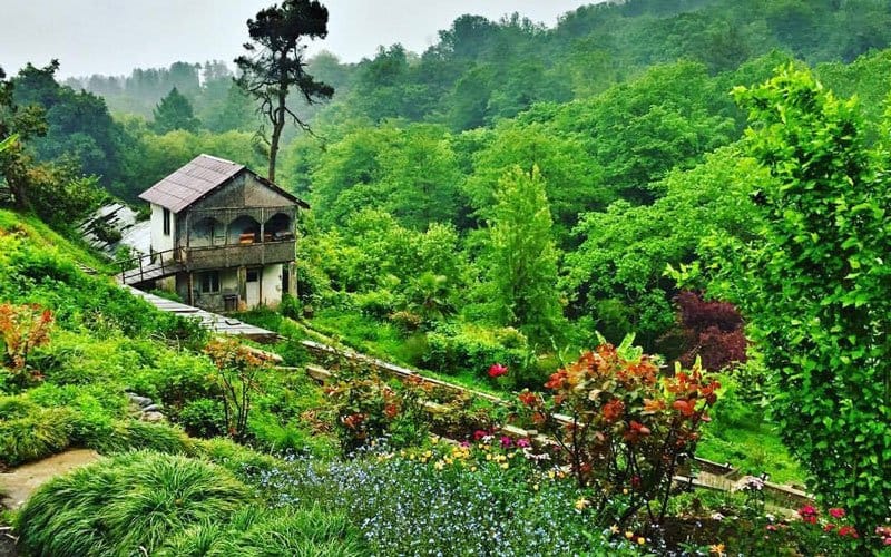 مکان های دیدنی باتومی / 10 جای دیدنی و تفریحی باتومی گرجستان 11 باغ گیاهشناسی باتومی