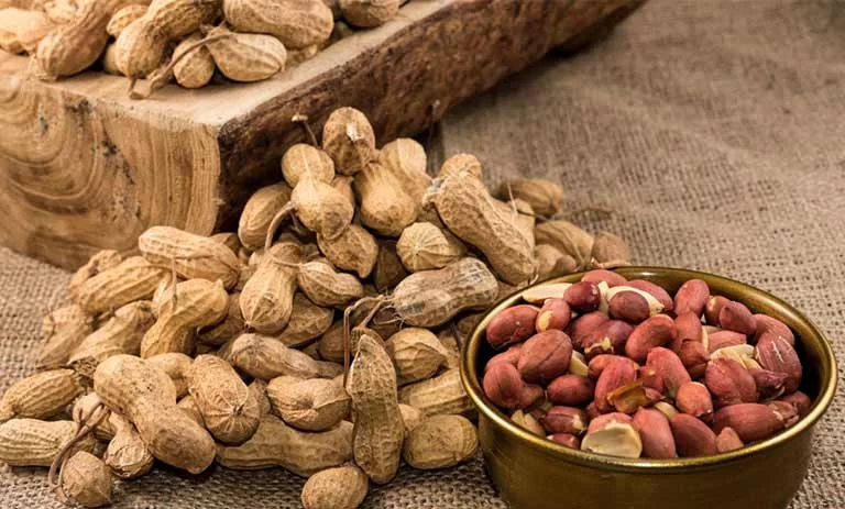 فواید بادام زمینی برای خانم ها (10 خاصیت از کمک به کاهش وزن تا افزایش انرژی) 7 فواید بادام زمینی برای خانم ها (10 خاصیت از کمک به کاهش وزن تا افزایش انرژی)