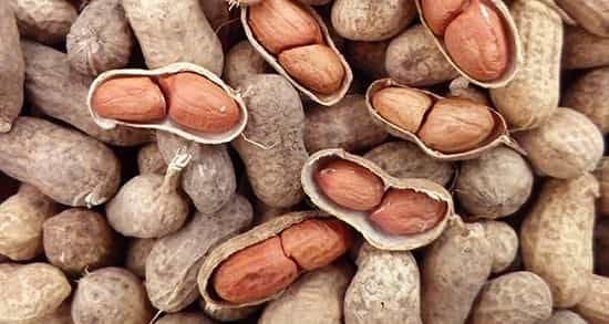 فواید بادام زمینی برای خانم ها (10 خاصیت از کمک به کاهش وزن تا افزایش انرژی) 8 فواید بادام زمینی برای خانم ها (10 خاصیت از کمک به کاهش وزن تا افزایش انرژی)