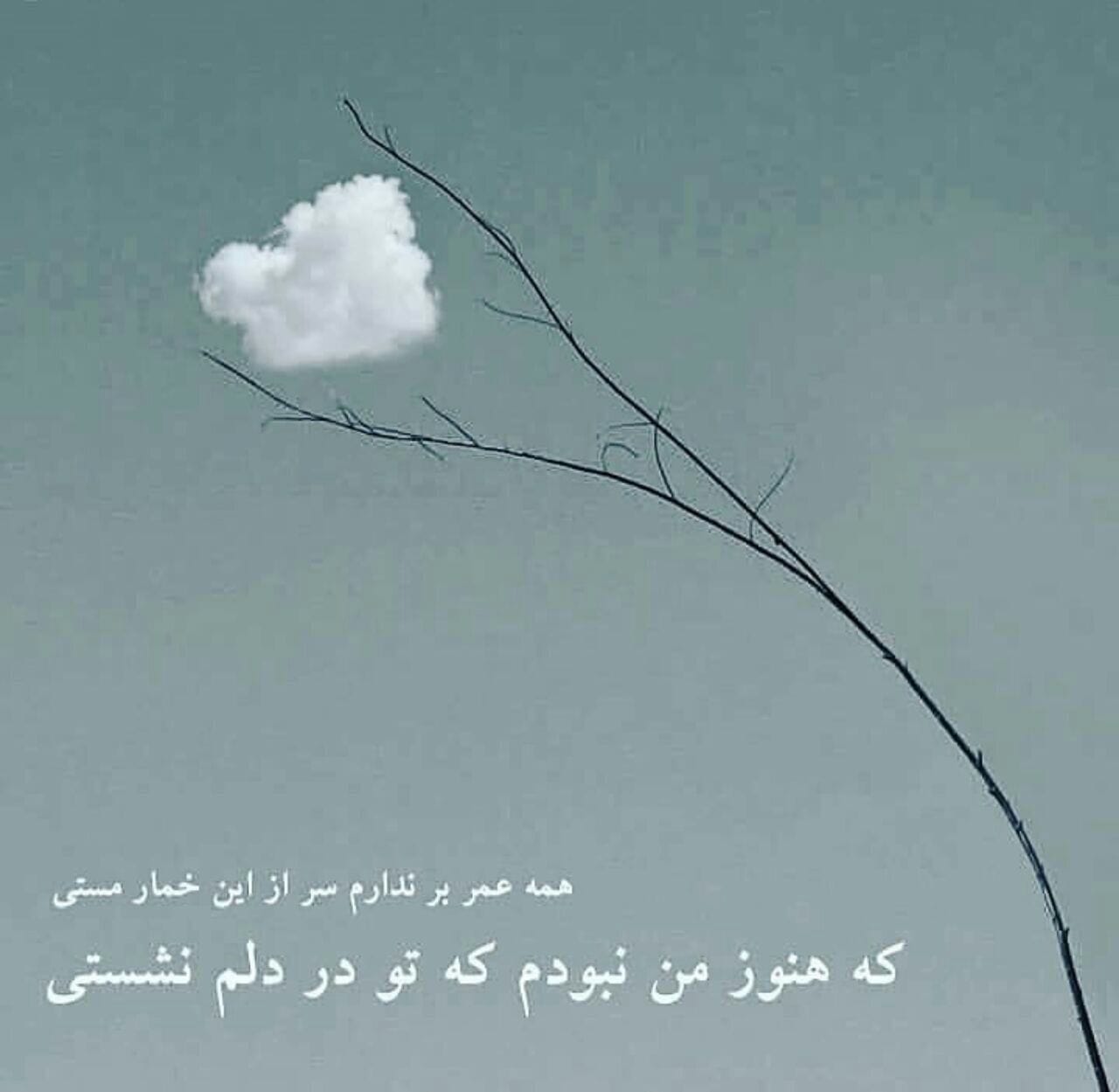 رباعیات سعدی؛ گلچینی از زیباترین اشعار و رباعیات سعدی بزرگ 5 شاه بیت های سعدی