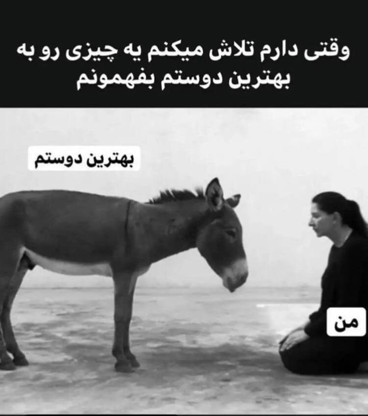 جوک جدید 2026 فوق خنده دار که از شدت خنده زیاد غش می کنید! 4 جوک کوتاه خنده دار