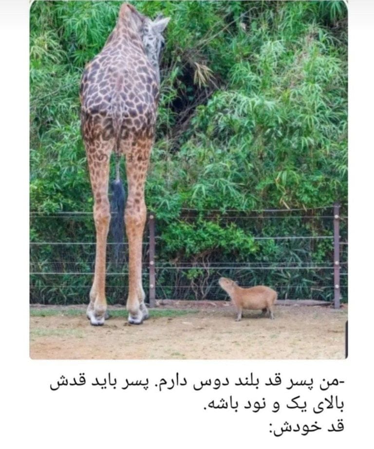 جوک های خنده دار ایرانی 🤣 100 جوک و لطیفه خفن بامزه