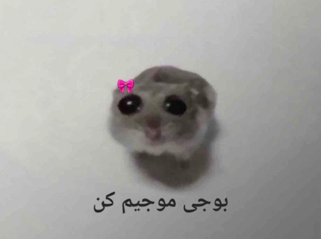 جوک‌های خنده‌دار ایرانی