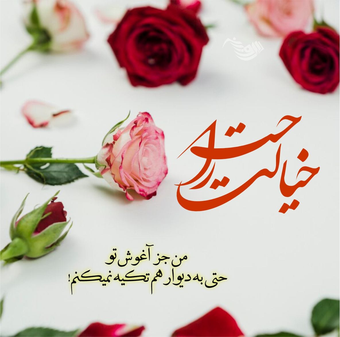 متن عاشقانه شاد دونفره / 30 جمله قشنگ و شیک با حال و هوای احساسی 3 02