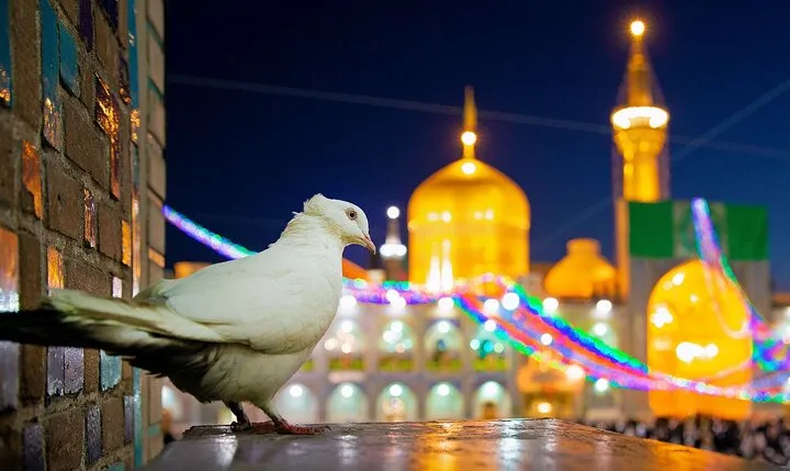 شعر در وصف امام رضا (ع) { اشعار زیبا، دوبیتی، بلند و... در مدح امام هشتم} 2 4539078
