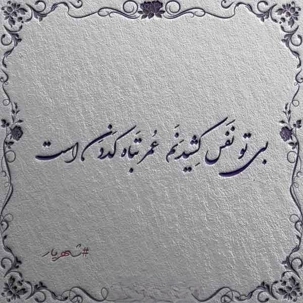 متن دلبری ناب؛ 50 متن عاشقانه دلبر جان کوتاه برای عشاق 2 متنهای زیبا برای دلبری