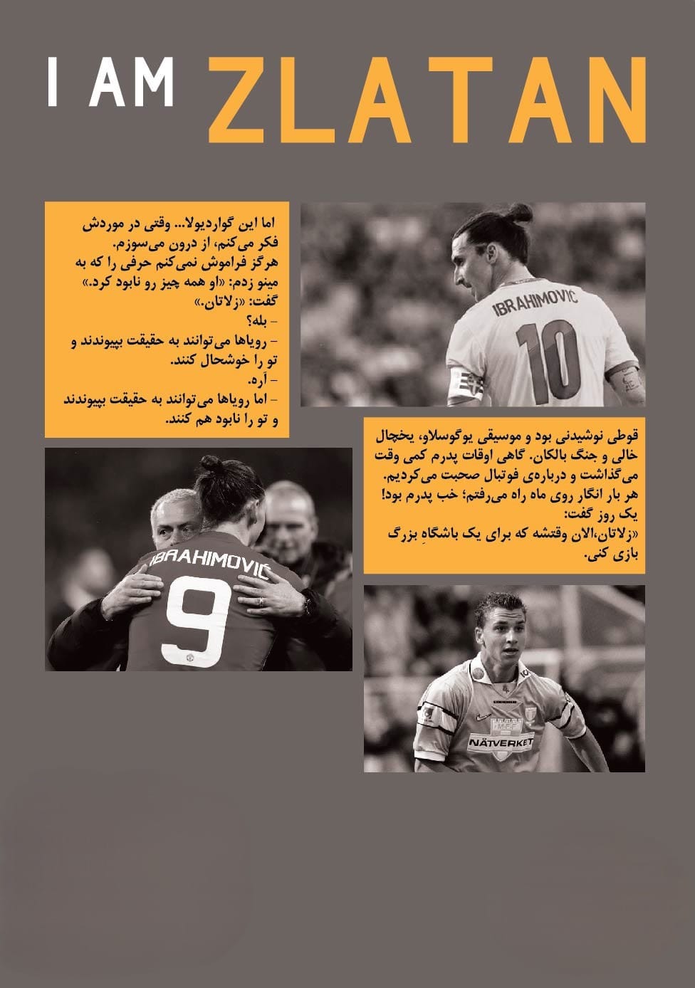 بریده و جملاتی از کتاب من زلاتان هستم