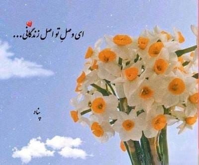 متن انگلیسی درباره گل؛ جملات جالب درباره گل با ترجمه فارسی 5 عکس نوشته زیبا با موضوع گل