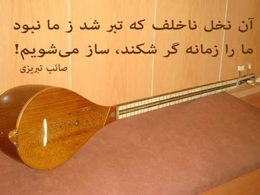 شاه بیت های بی نظیر