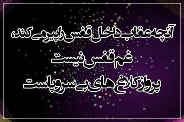 bio های خفن انگلیسی و فارسی مخصوص اینستاگرام، تلگرام و... 7 Bio جدید خاص