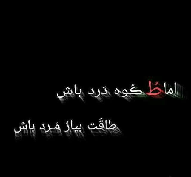 Bio برای تنهایی و افراد خسته