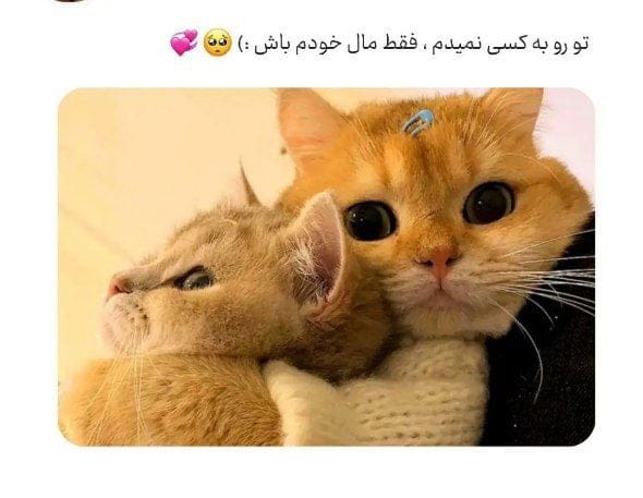 متن پُر معنی زیبا و احساسی