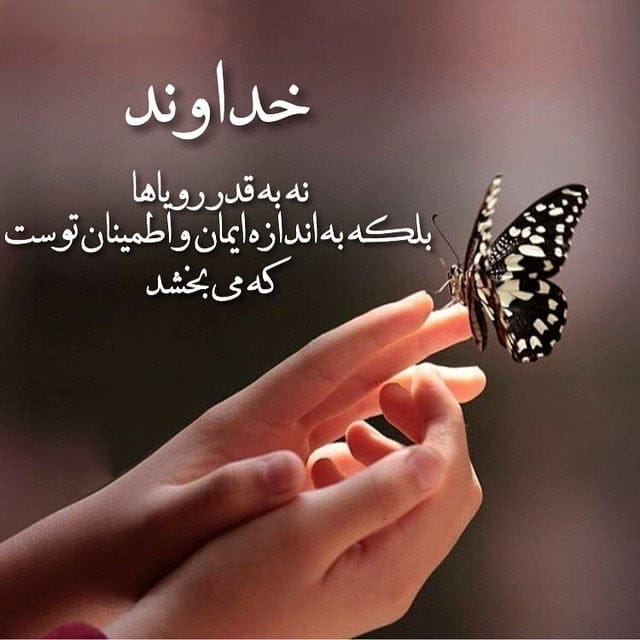 احادیث رسول خدا صلی الله علیه و آله