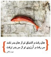 اشعار عاشقانه عبید زاکانی شاعر خوش ذوق (30 شعر احساسی شاعر بزرگ) 4 شعرهای عاشقانه عبید زاکانی