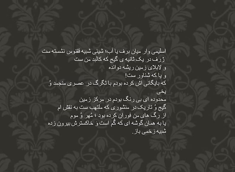 شقایق