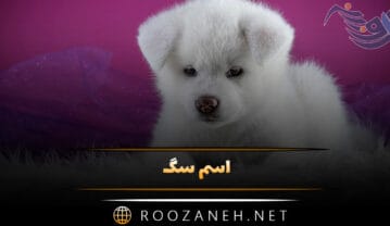 اسم سگ