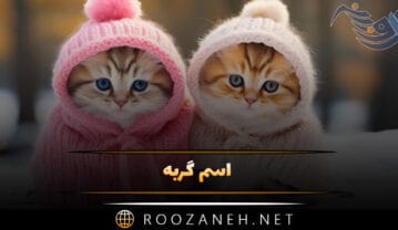 اسم گربه