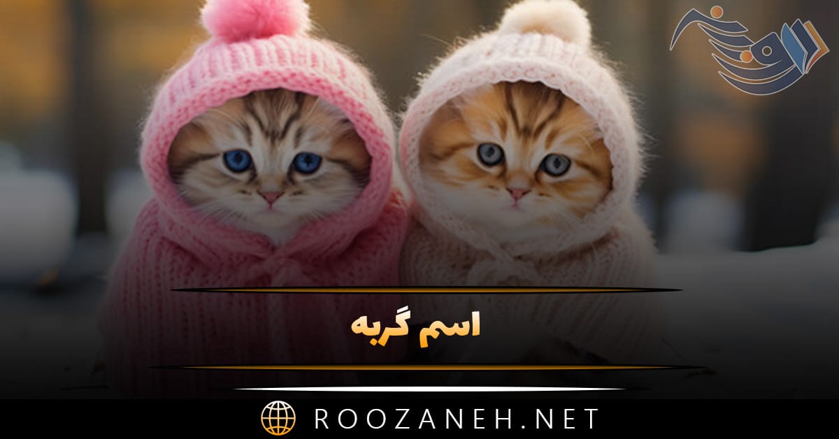 اسم گربه با مزه و جالب (300 اسامی برای گربه نر و ماده) 1 اسم گربه با مزه و جالب (300 اسامی برای گربه نر و ماده)