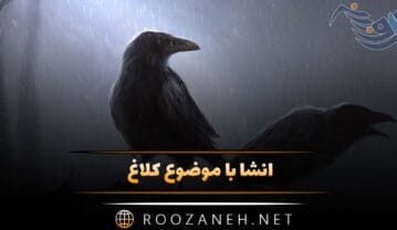 انشا با موضوع کلاغ برای پایه های مختلف (10 انشا درباره کلاغ) انشا با موضوع کلاغ