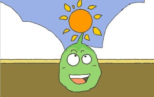 قصه دانه خوش شانس
