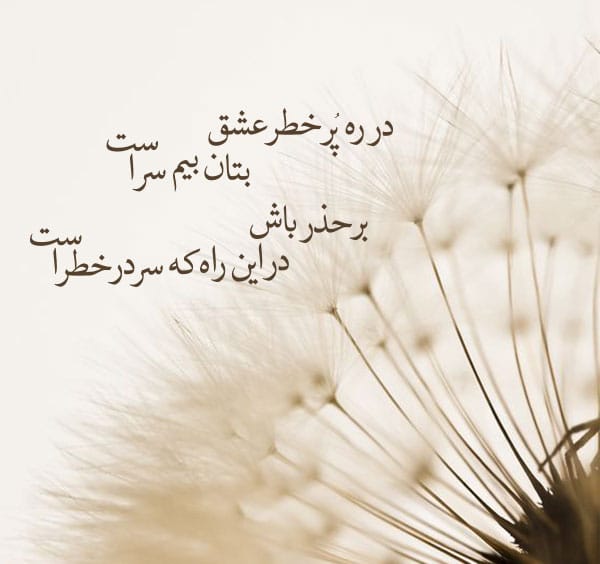 عکس نوشته اشعار وحشی بافقی