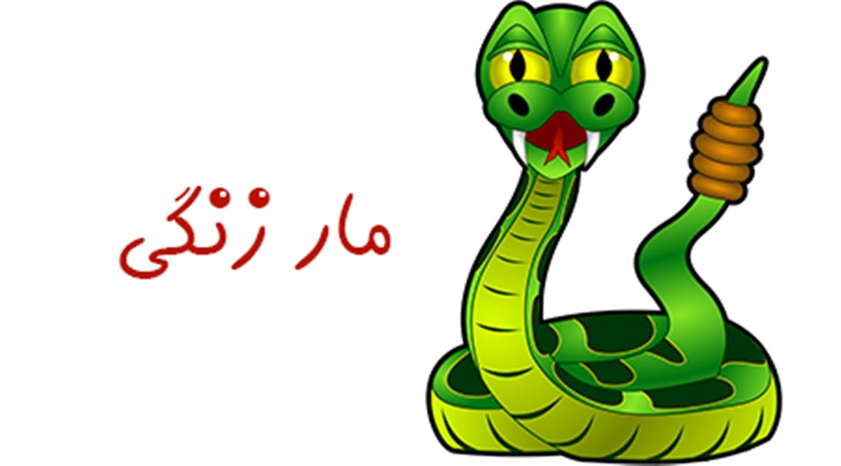 قصه شاد کودکانه قشنگ؛ 10 داستان و قصه کوتاه شاد حال خوب کن برای کودک 4 قصه ی مار زنگی
