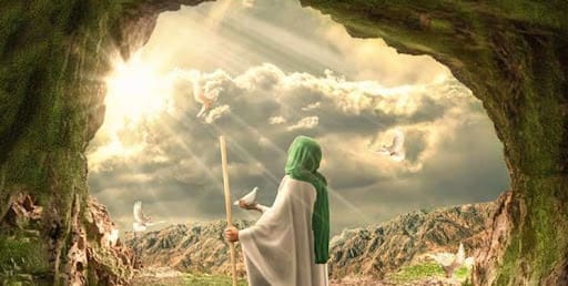 راءفت با حیوانات
