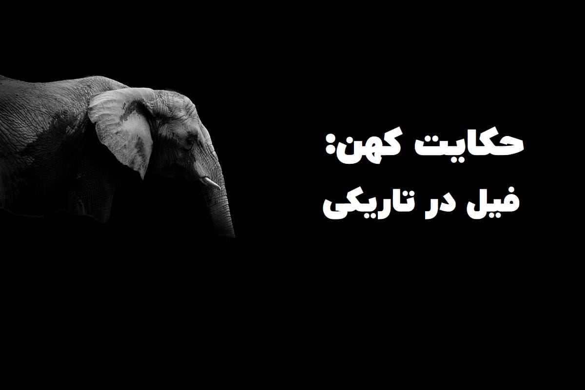 فيل در تاريكي
