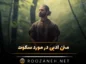 متن ادبی در مورد سکوت؛ حملات و سخنان ادبی درباره سکوت متن ادبی در مورد سکوت