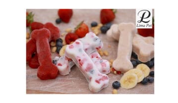 مقرون به صرفه و خوشمزه ترین تشویقی خانگی برای سگ و گربه