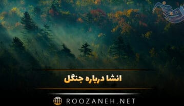 انشا درباره جنگل (۱۲ انشا درباره جنگل و طبیعت زیبای آن) انشا درباره جنگل