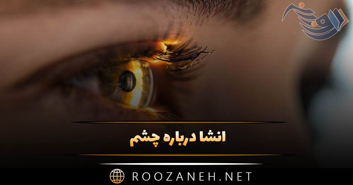 انشا درباره چشم؛ ۱۲ انشا توصیفی کوتاه و بلند درباره چشمان 1 انشا درباره چشم؛ ۱۲ انشا توصیفی کوتاه و بلند درباره چشمان