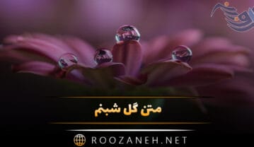 متن گل شبنم