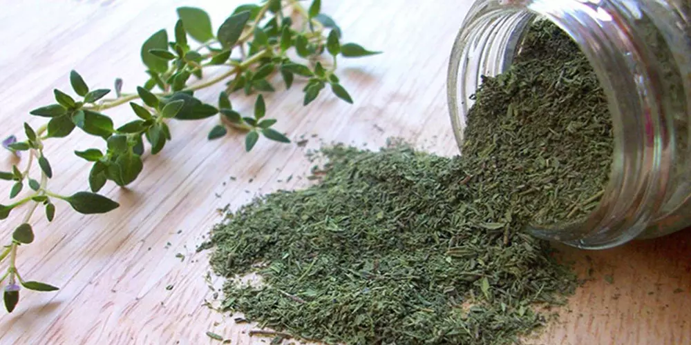 خواص آویشن؛ تمام خواص شگفت انگیز آویشن برای خانم ها و آقایان