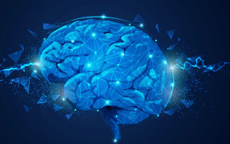 Psychology and Behavioral Sciences