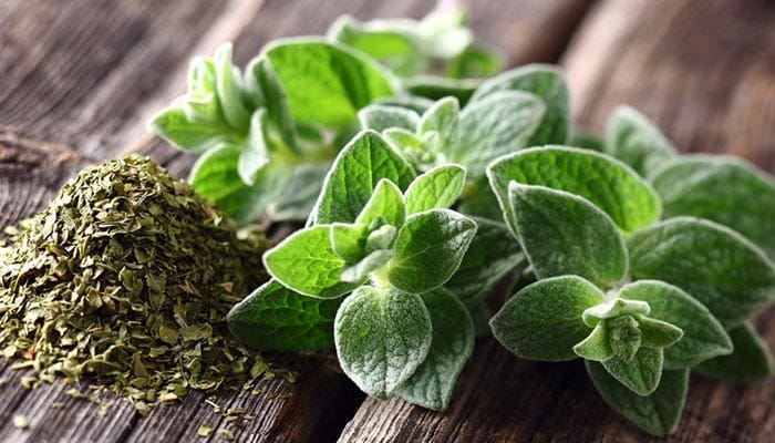خواص آویشن؛ تمام خواص شگفت انگیز آویشن برای خانم ها و آقایان