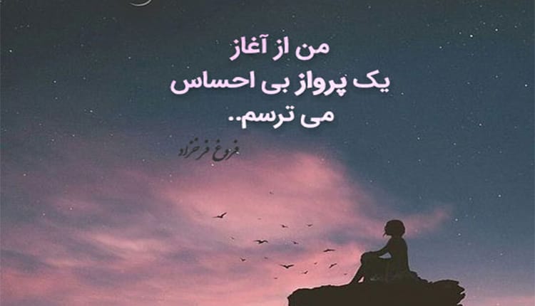 متن در مورد پرواز در آسمان؛ جملات فلسفی و عاشقانه پرواز کردن 2 جملات زیبا و ادبی درباره پرواز