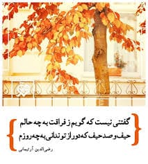 اشعار میر رضی آرتیمانی؛ گلچین زیباترین اشعار شامل غزلیات و رباعیات 3 رباعیات