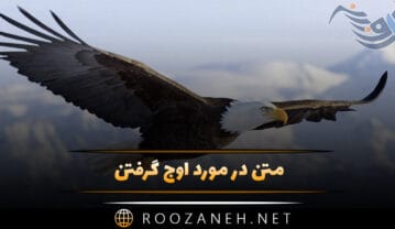 متن در مورد اوج گرفتن و پریدن (جملات انگیزشی قوی پرواز) متن در مورد اوج گرفتن