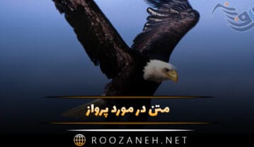 متن در مورد پرواز در آسمان؛ جملات فلسفی و عاشقانه پرواز کردن متن در مورد پرواز در آسمان