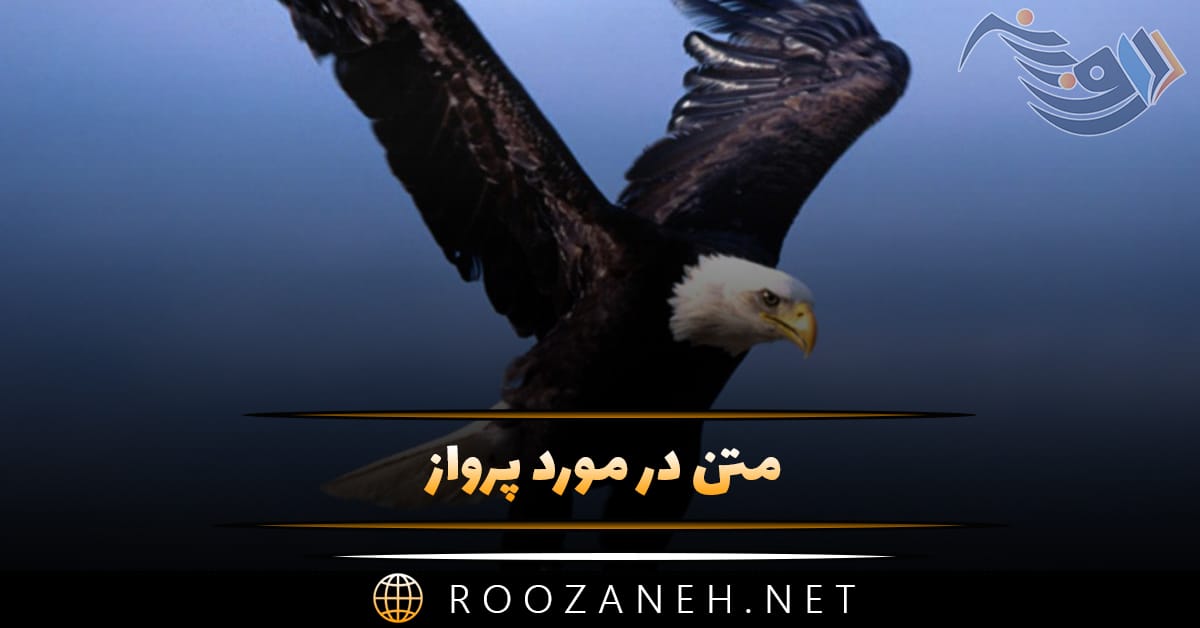 متن در مورد پرواز در آسمان؛ جملات فلسفی و عاشقانه پرواز کردن 1 متن در مورد پرواز در آسمان؛ جملات فلسفی و عاشقانه پرواز کردن